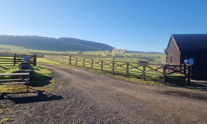 Spring morning at the Fishery