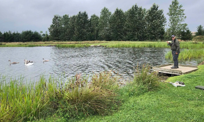 Angler with swans on Chatton Lake